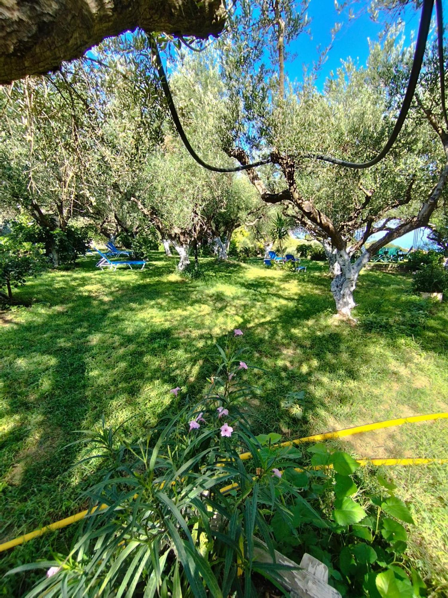 Villa Agia Aikaterini Ammoudi Exterior foto